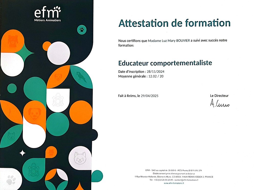 Educatrice et comportementaliste canine à domicile près de Lyon