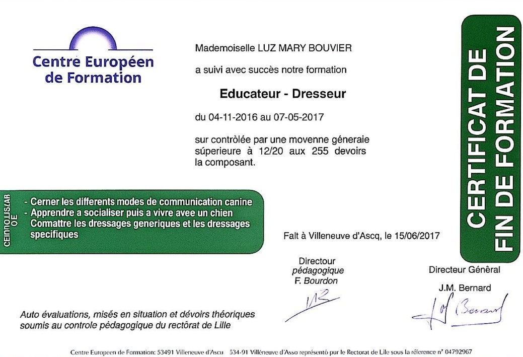Educatrice et comportementaliste canine à domicile près de Lyon